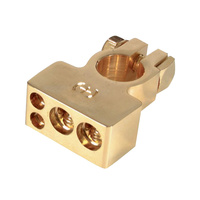 4 Wire Gold Positive Battery Terminal