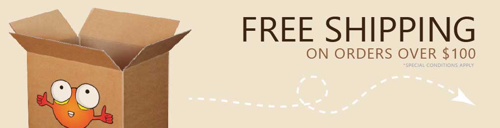 Free Ship $100