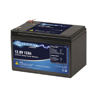 12.8v 12ahr LiFePO4 Deep Cycle Battery