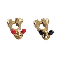 Brass Battery Terminal Wingnut Marine (Pair)