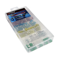 Assortment Automotive Mini Blade Fuses