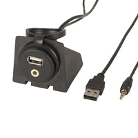 USB and 3.5mm Aux Audio Extension Panel and Mount
