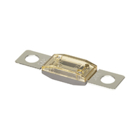 Bolt Down Fuse 300a