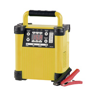 Intelligent 6-24v Lead Acid Battery Charger