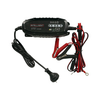 Economic Lead Acid and LiFePO4 6-12v 1.5a Everyday Battery Charger