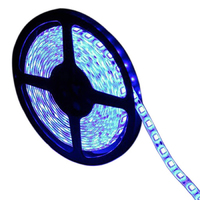 12v Blue SMD5050 LED Strip 5m