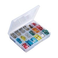 Assortment Popular Fuses (360 Pieces)