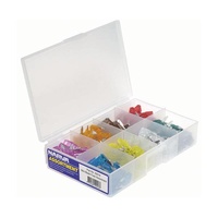 Assortment Mini Blade Fuses (100 Pieces)