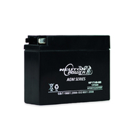 YT4B-BS 12v 3ahr 30ccA AGM Motorbike Battery