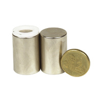 Large Pair of Rare Earth Magnets