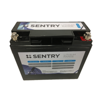 Sentry 12v 20ahr LiFePO4 Deep Cycle Battery with Bluetooth