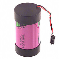 Tadiran 3.6V D Size 19Ah Lithium Battery with Wireset
