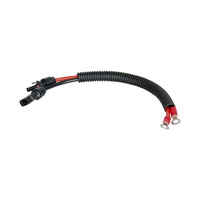 MP4 Solar Panel Connector to Eye Terminal Adaptor Lead