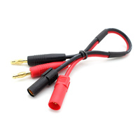 XT150 Charge Lead