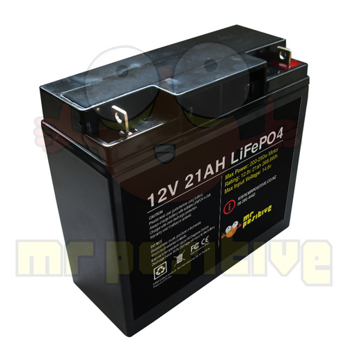 LiFePO4 12v 21ahr Deep Cycle Sealed Lithium Battery